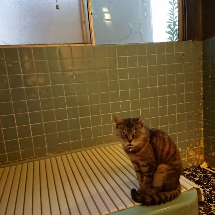 482aecef e6db 4de2 b0ec b02a93255ce3 1569833658497