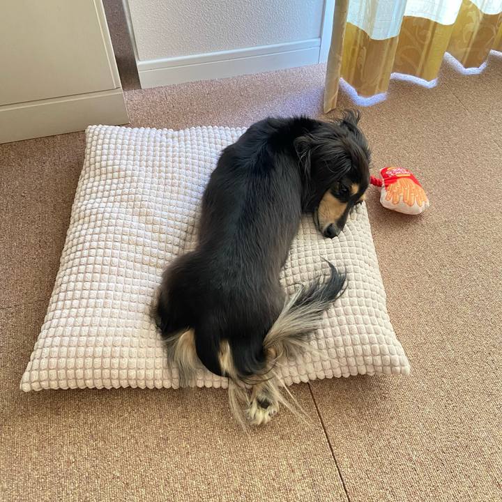 482b30d7 f486 4ee4 a261 d49b3bdd70e7 1760667058681