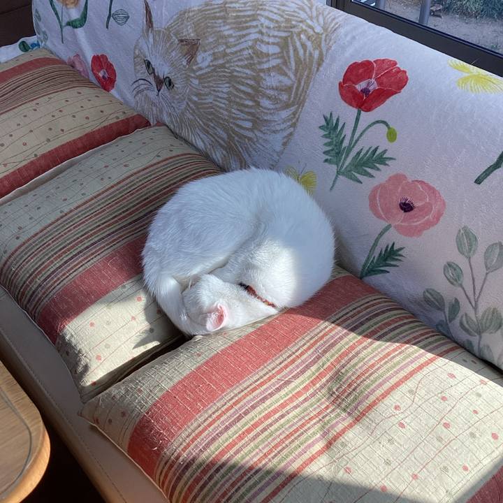 482b3322 da24 4a8c 8018 226e52921c85 1675488652890