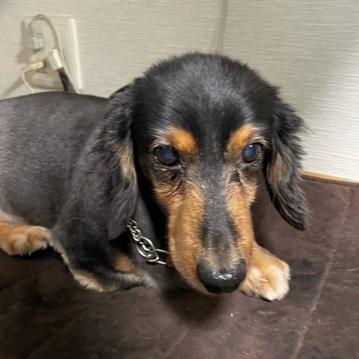 482b61db d99a 4943 9291 844a2c41ff72 1625435359829