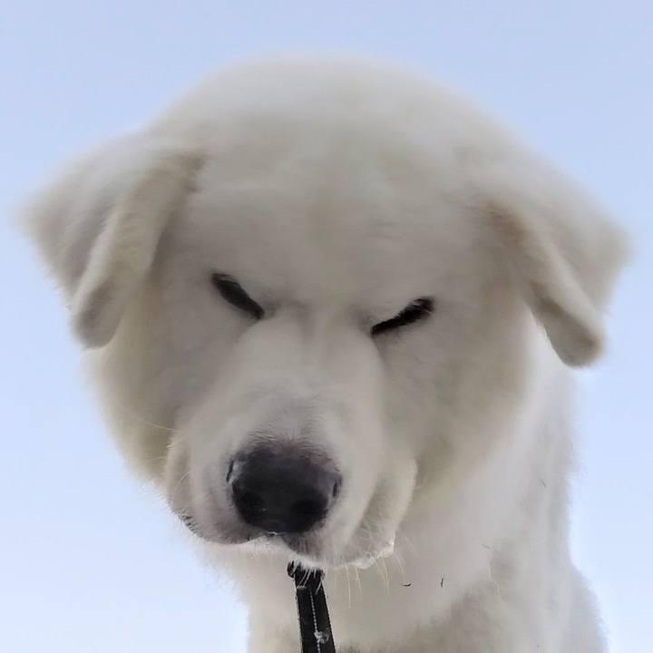 482b9791 5092 4f38 894c 9815458818a6 1689108518559