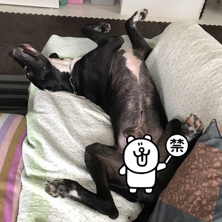 482bf90c a55f 49e1 940f 0ee27fbb9fc4 1527028484034