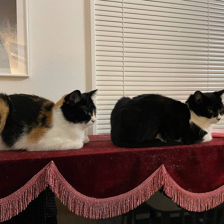 482c0972 08cf 464a 91d9 0d37fc504a2c 1654515209063