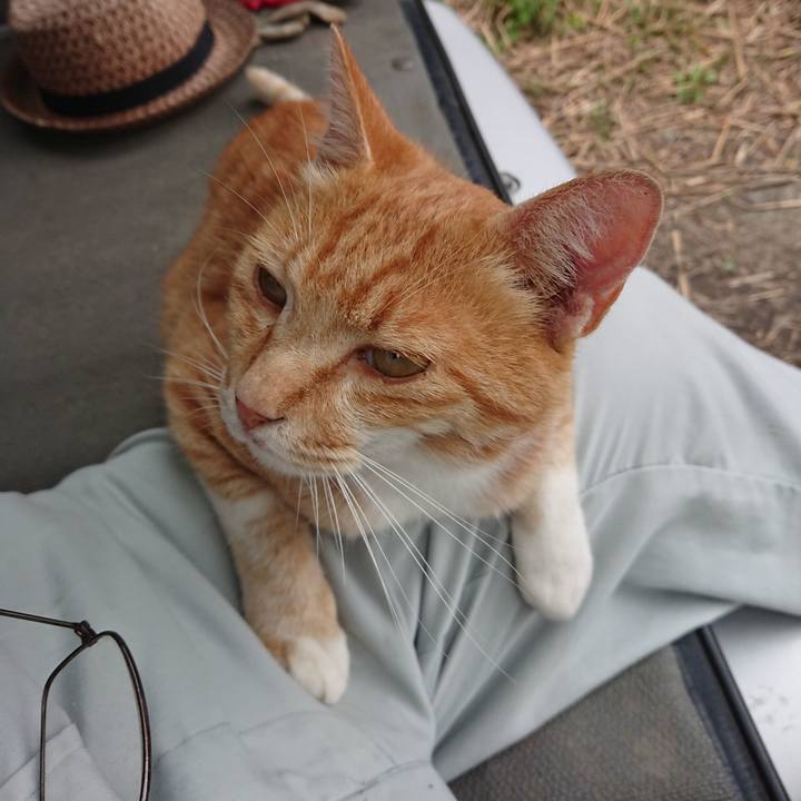 482c5d95 7e50 4ff1 a381 16d5f3bff7c4 1595237656654