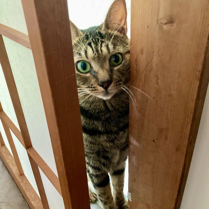 482c71c9 45a2 4051 96c6 f85d68fb0f67 1756510556802