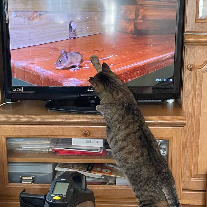 482c76b5 a8ea 4cab 90bd a2c8feab6777 1642658626093