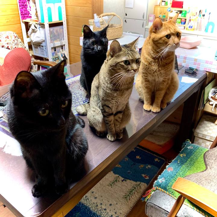 482ca3cb 2cae 48d1 9d8b 6778323b56d5 1659777081480