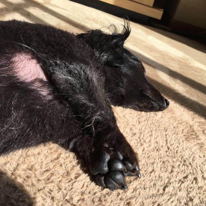 482cf98a 5b21 4d97 b236 1d0ce49d7305 1526079901499