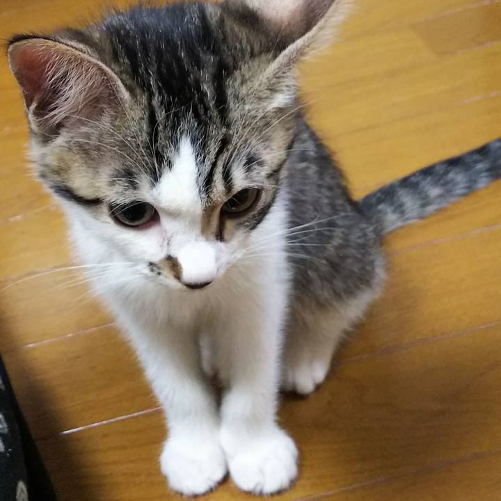 482d1fce 4030 45fe ac63 7eda1db5dc70 1607514119840