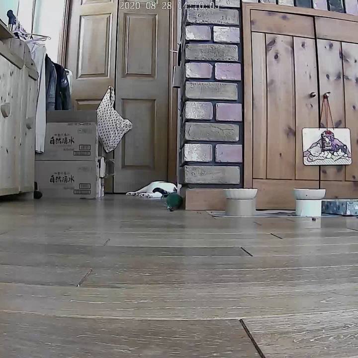 482d3514 d997 4913 a10f 96191456dca8 1598591492754