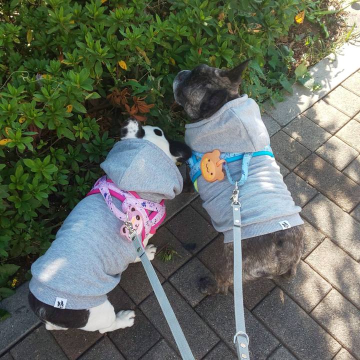 482dd1fb 9e8c 45fc 8d7d 5c09b8f5df78 1699496998703