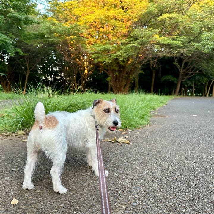 482ddb50 7137 4ee6 a2ad da4d60d9f8f4 1724654502720