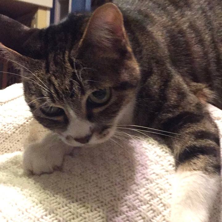 482e2c75 d569 4bc2 a54f c014fe44462a 1577369827452