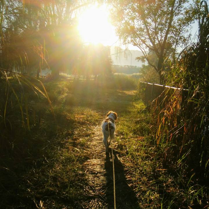 482e3e35 0920 4f37 88e0 edaf3dfffca8 1540513515562