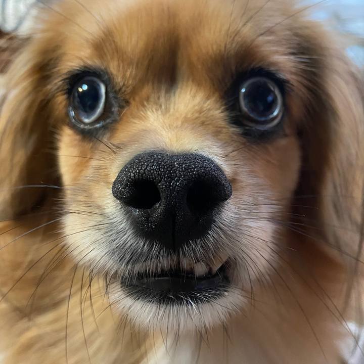 482e503b e6f9 4a21 929e b3bcc0e41d5f 1635889098075