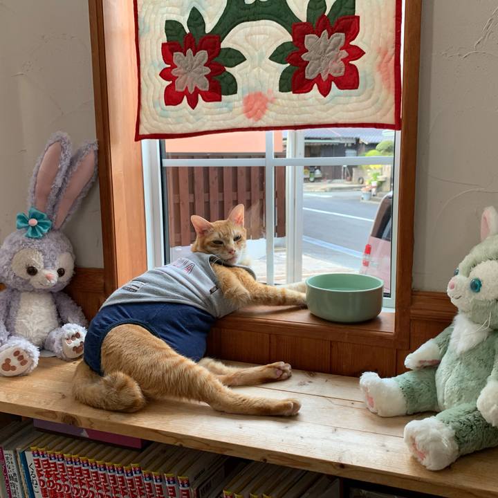 482e5291 91f1 47f0 8b3c 135e578aa299 1628287265687