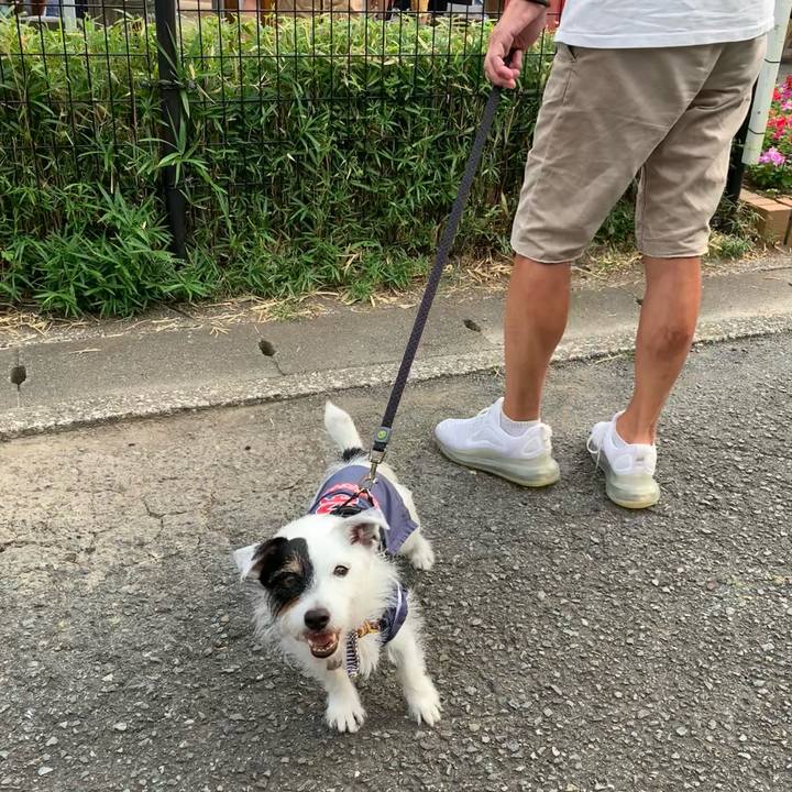 482e52b6 b823 4eac bcd9 1b2fcd0dfc10 1722071485073