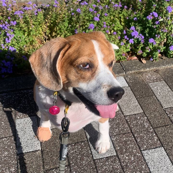 482e6bcd b71a 437e 92f7 6a13194a8ca4 1701996313948