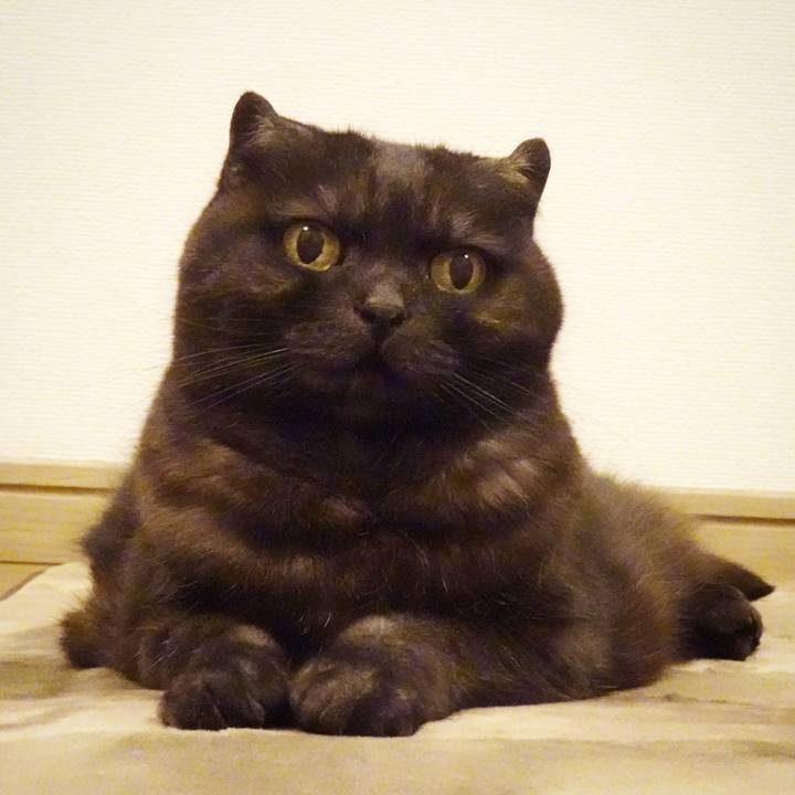 482e787e 2ade 4b6e 86ce 9c63f63fe695 1587999858898