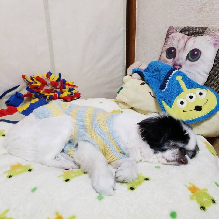 482e96b9 a655 4716 b265 a6ae8ed19f6d 1611608369945