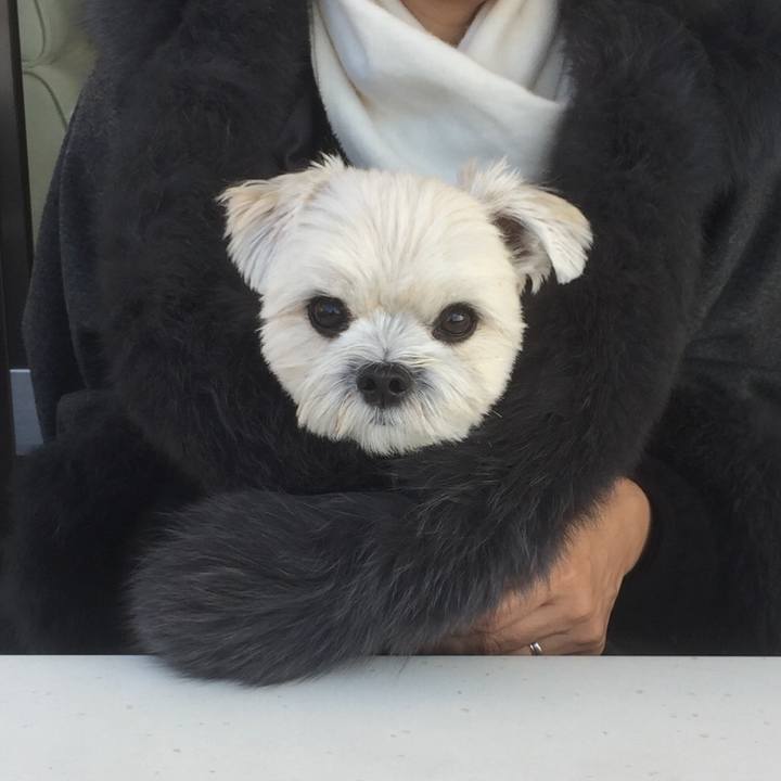 482eb123 6282 4775 a03d 223d2ecd82aa 1512392189468