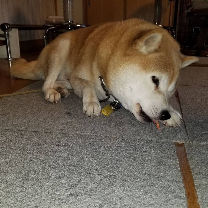 482ec52f 5c30 4047 bfd7 aad260907a1c 1639524567971