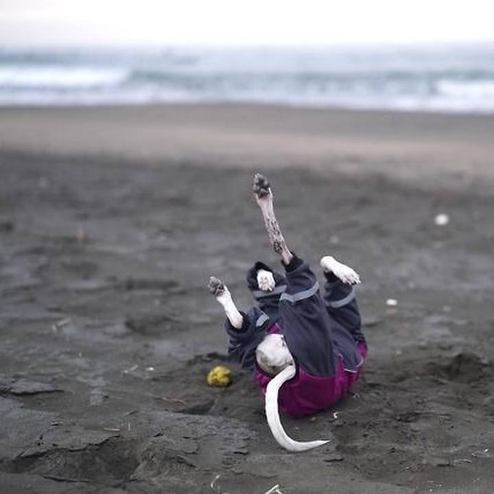 482ec749 690c 4340 a288 c1346da31cf2 1517917416804