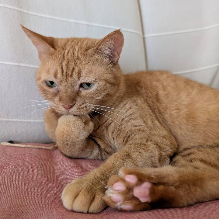 482ed956 d880 46be b5e6 9288d8a6fa55 1760674690604