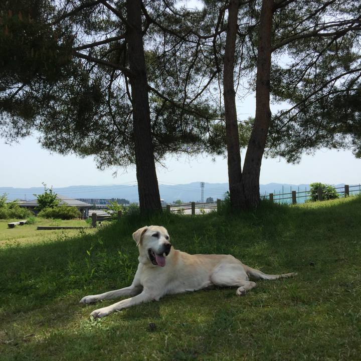 482f1300 a092 4c48 9f6b 74da708ba90f 1526434325459