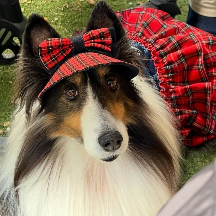 482f1a8f 50a2 4df8 8929 6be8356f75cf 1765384355923