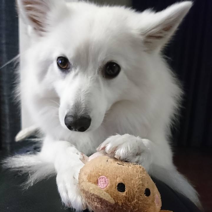 482f5d64 f678 4e47 9954 98449c4d5ab5 1541423929210