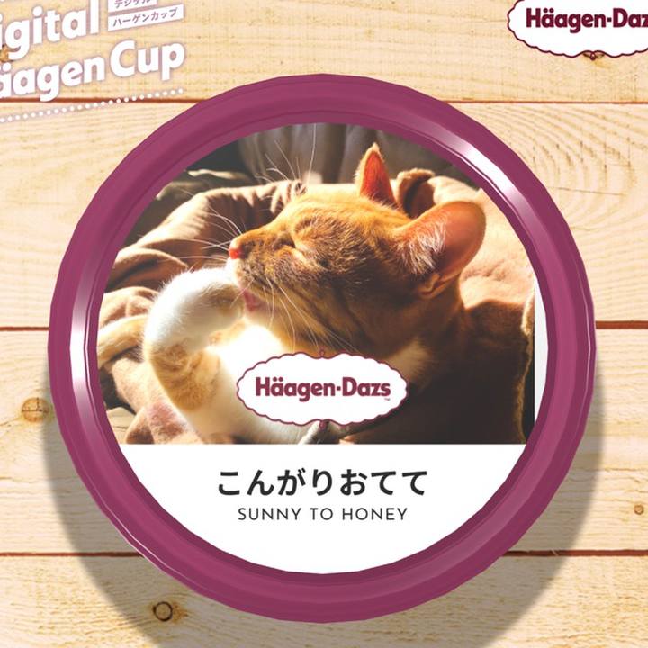 482f62df 0069 4991 a8d9 f259f5ec9d49 1607508526216