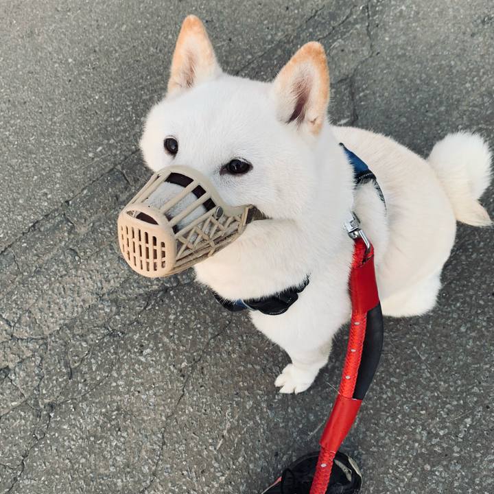 482fa4d6 dee7 43f3 a152 a612a5955a4d 1662151907441