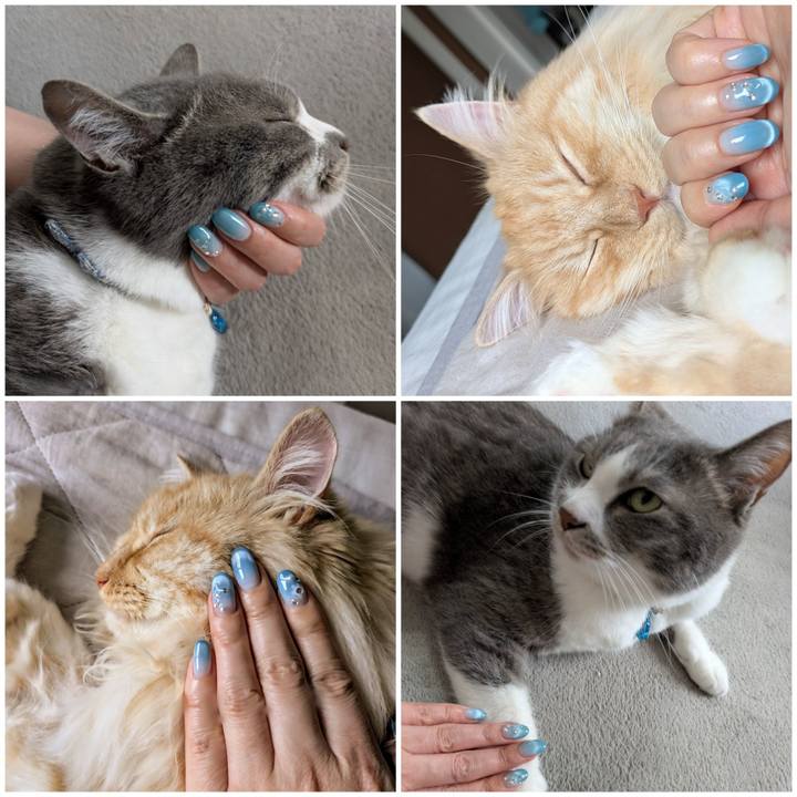 482fedfa 648a 44eb b160 d57d3ab0248b 1749700440040