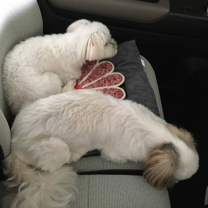 483030b2 3b12 4788 828d ea1f2d53d840 1597212064633