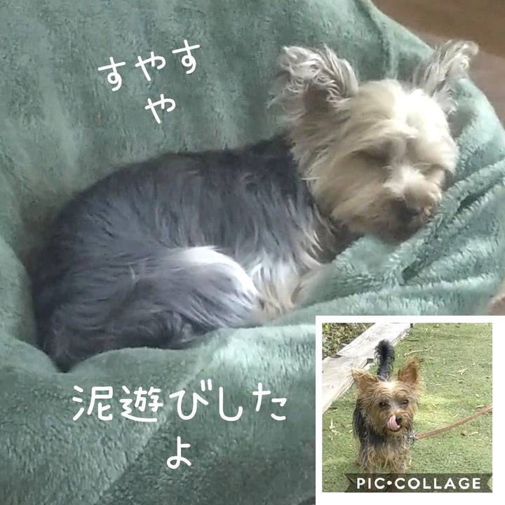 483089e4 0d80 4101 b906 a37ad781036c 1560942154947