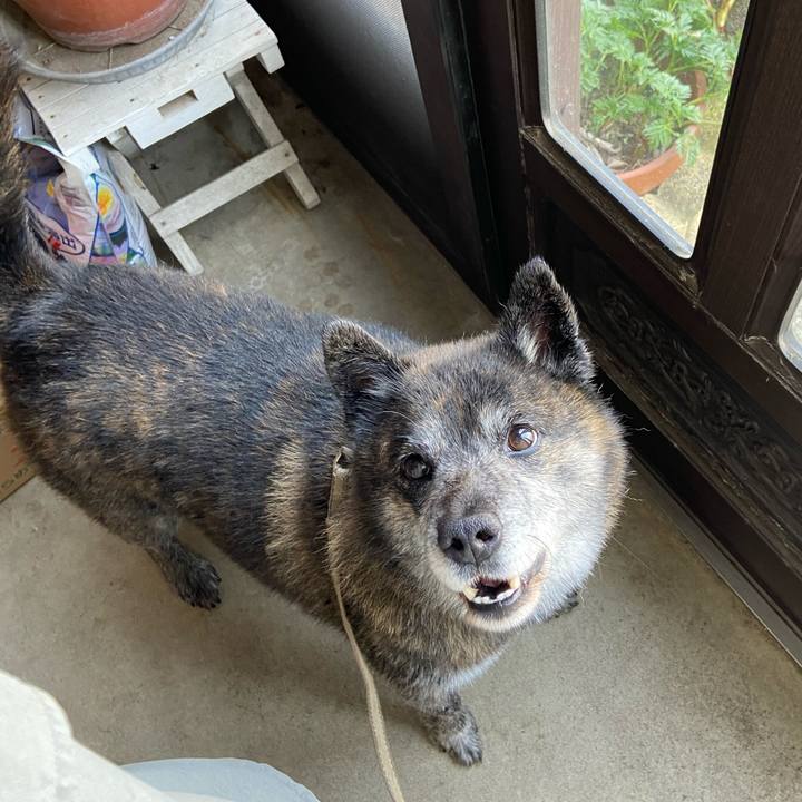 4830c085 abb3 404e bb49 4a26379dfd46 1649324367128