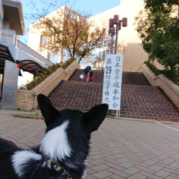 483104ee 02b5 4420 8e3b 1350152515f5 1511051933978