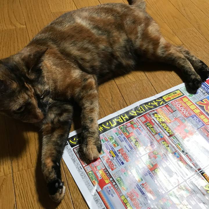 48312ee3 1216 4fc4 b5f7 53e1ea124d95 1690582613202