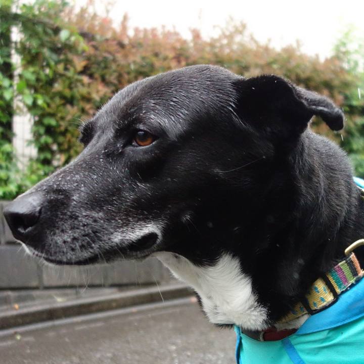 48316478 6582 4dee 9c17 707418d846d9 1684111373892