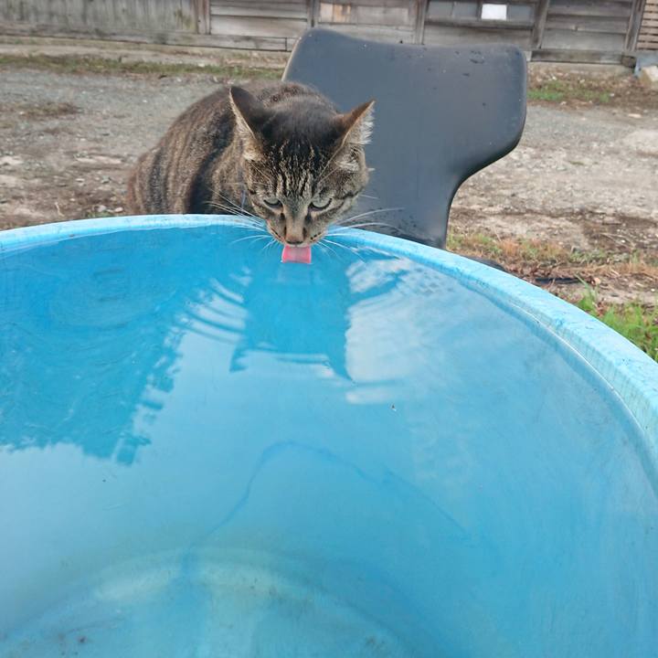 48317869 f6c5 460c a3c4 b93823fb0d6e 1659000449230