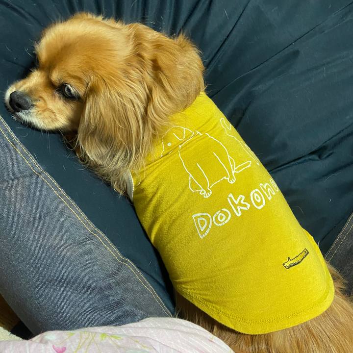 48318687 cd12 492e ac62 f22920d1c811 1676240416360