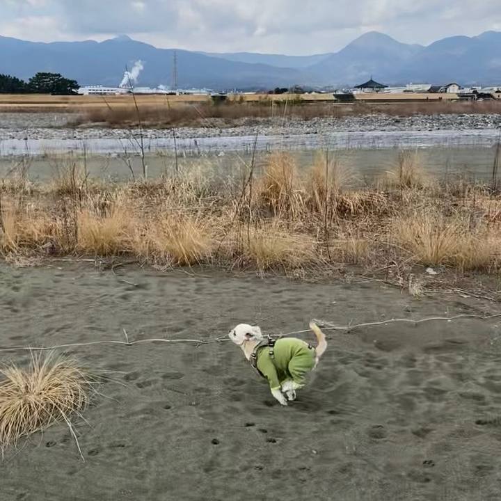 4831876f 7732 4f8f 8f68 48d004c7f7cd 1677293972530