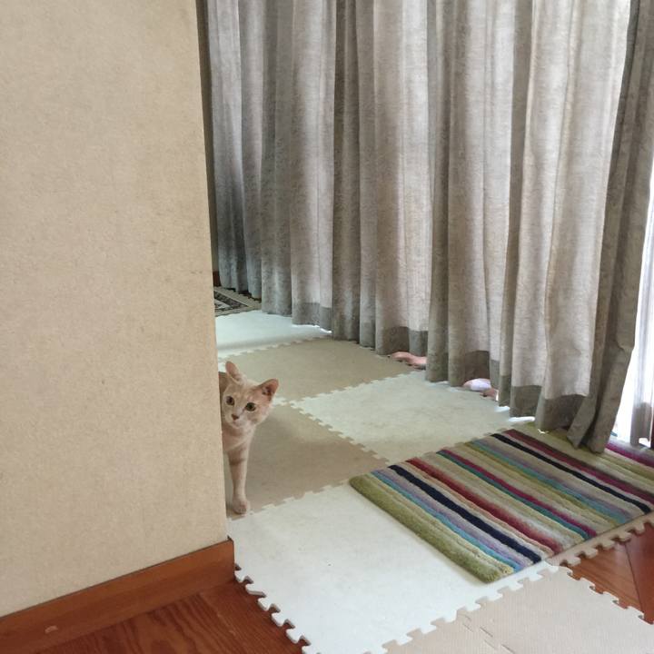 4831d790 b9d2 4f09 9796 94f30ece0459 1532423335447