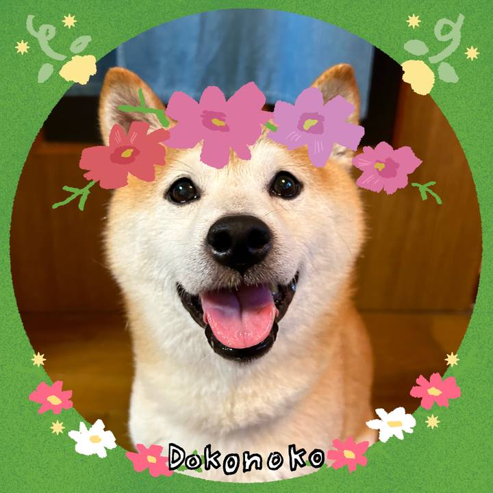 4831f823 0bf4 4129 9e0d fbb8c914793d 1726830507002