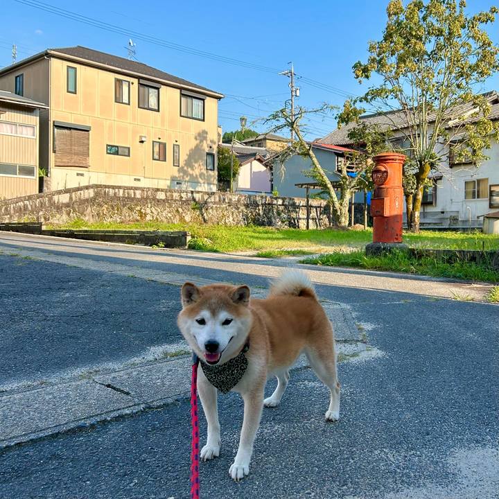 4831fd79 5eee 4fd7 b804 0ac6c3d82546 1725620177131