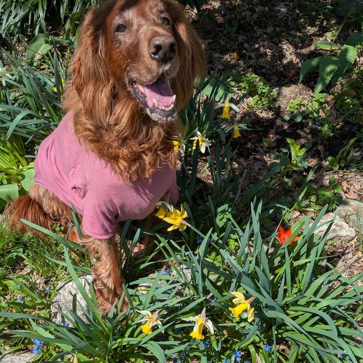 4831ff2b c33b 47cd 8dff 16af2599cfbd 1776048821195