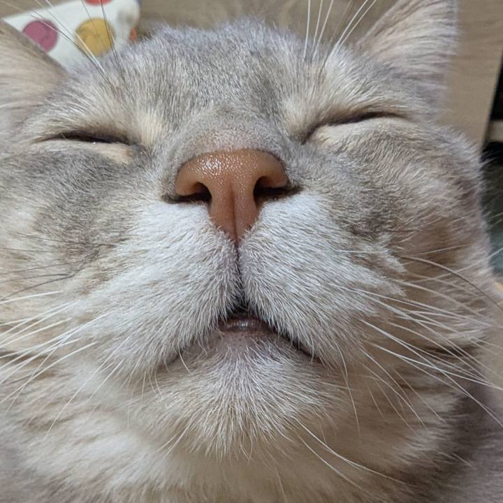 483210e5 e881 402a 8283 133546c43219 1737186699522