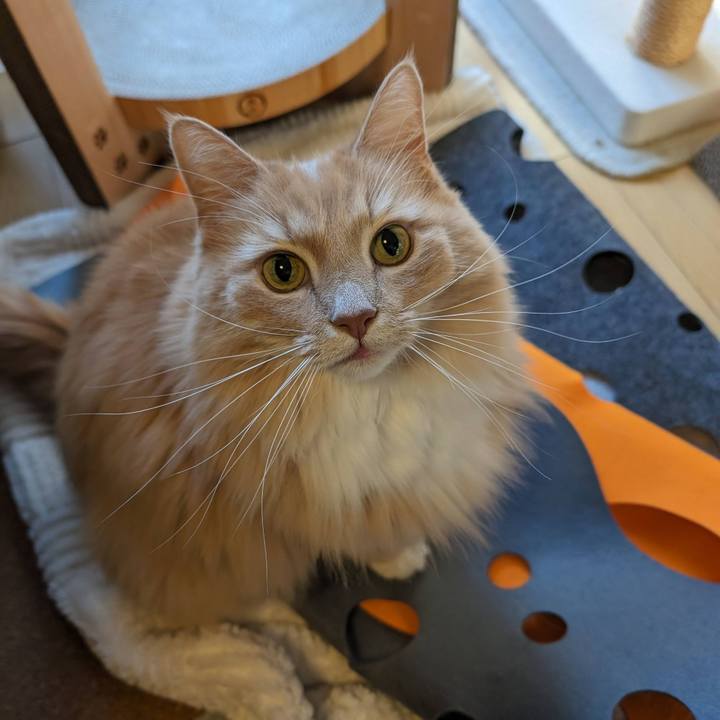 483219d3 a46f 4f2a 9356 1170faeb22f3 1704845519760