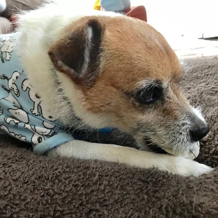 48322925 19c0 4094 ac8b dd23efc24ee5 1560811506920